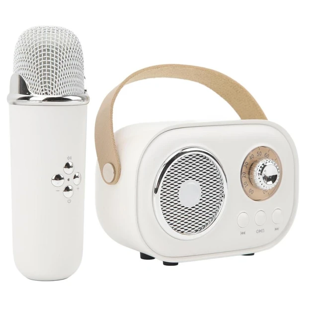 Портативная колонка Bluetooth с микрофоном на аккумуляторе, ретро мини-караоке (40)