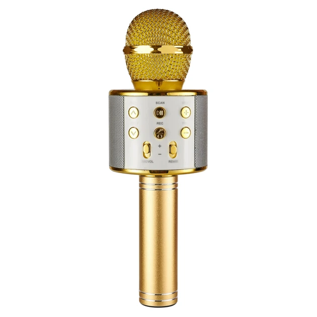 Бездротовий мікрофон караоке WSTER WS-858 (50)