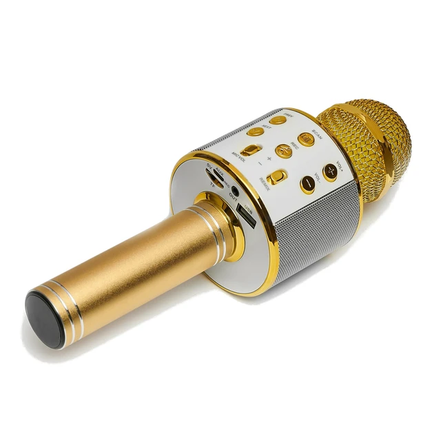 Бездротовий мікрофон караоке WSTER WS-858 (50)