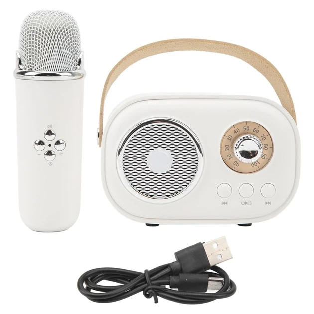 Портативная колонка Bluetooth с микрофоном на аккумуляторе, ретро мини-караоке (40)
