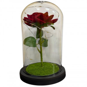 Вечная роза в колбе в подарочной упаковке красная с травой (72)